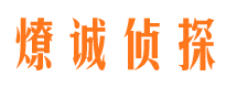 太白市场调查